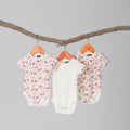 Floral Cuddle bodysuit (3 Pieces set)